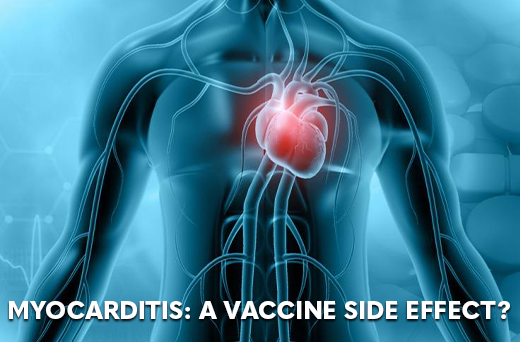 Myocarditis: A Vaccine Side Effect?